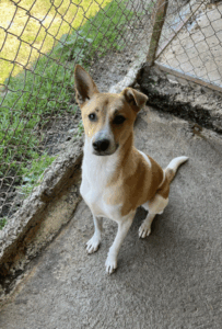 Capture-decran-2025-05-05-a-14.09.02