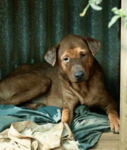 Capture-decran-2025-05-05-a-14.32.02