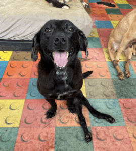 Capture-decran-2025-05-05-a-15.08.07