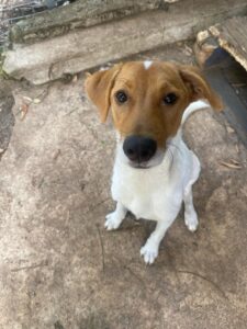 eee8161f-c93e-4087-b17f-907ca12deb0d