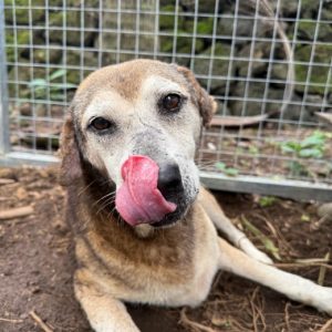 03964aff-4a27-48d5-9cb8-d08eddffcb9b