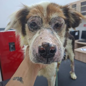 0741176b-8fc3-4526-98d6-f202d5891741