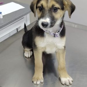 20bd8ef2-ac3f-445b-887d-813830de248c