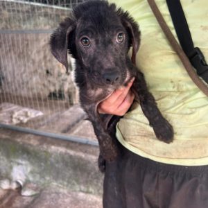 250f5c10-9deb-4763-a7c7-d411e9173f90