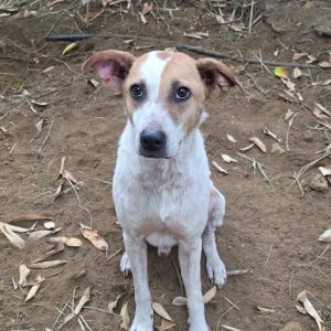 48d028fa-d9cc-465e-a3bb-d4d41b26d357