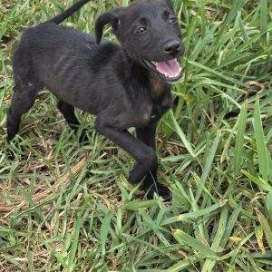 7691e4be-3f08-4acf-ab47-f89667af336c