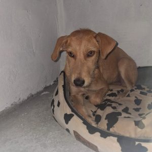 8286c1d5-83ad-47f5-b802-602db3bf3a31