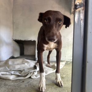 9e87d5be-7e8d-421e-9e09-546cce786acd