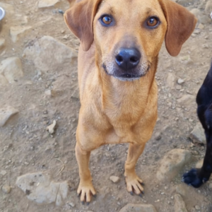 Capture-decran-2025-05-05-a-14.10.40