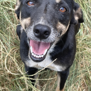 Capture-decran-2025-05-05-a-14.22.35