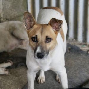 Capture-decran-2025-05-05-a-14.24.03