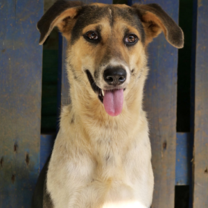 Capture-decran-2025-05-05-a-14.49.54