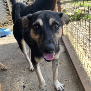 Capture-decran-2025-05-05-a-15.04.40