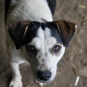 Capture-decran-2025-05-05-a-15.06.02