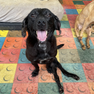 Capture-decran-2025-05-05-a-15.08.07