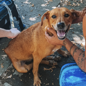 Capture-decran-2025-05-05-a-15.18.23