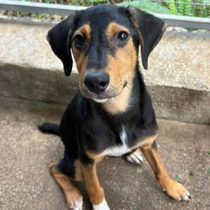 WhatsApp-Image-2025-12-11-at-09.14.13