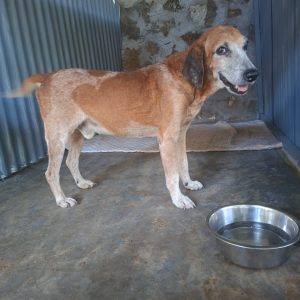 WhatsApp-Image-2026-03-27-at-09.53.28