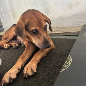 a0e5adb9-89ec-4a11-9bad-5833aee0bd57