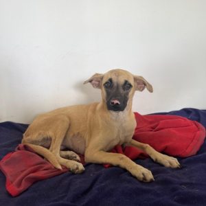 b4d8d90f-d865-429b-80f3-e26ed0440b7e