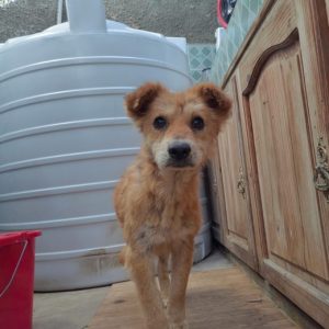 c903339f-e6c5-4d0d-952b-8ed90294bf0e