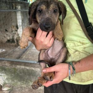 db4a3fc1-a128-4e99-aba1-efc946e86326