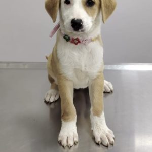 de400bda-4ec1-4fb4-97ee-9e96f4403c70