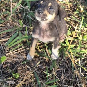 e400973f-b60d-46fa-b4c3-6017aadc6377