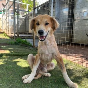 eae94507-7123-4b45-9482-032c564af65a