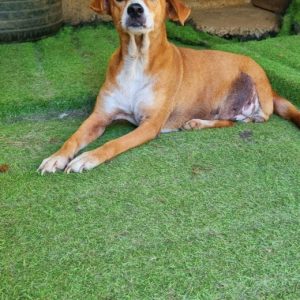 eaf0ea15-579d-43e2-b6f2-836b9e91fed0