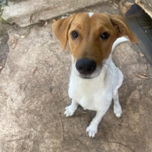 eee8161f-c93e-4087-b17f-907ca12deb0d