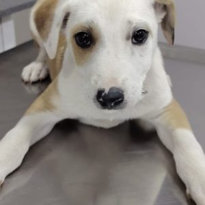 f3681c63-f384-4b09-a048-c158cb1fb620